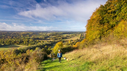 A woman in a woolly hat, with two small dogs, walking down the hillside in autumn.